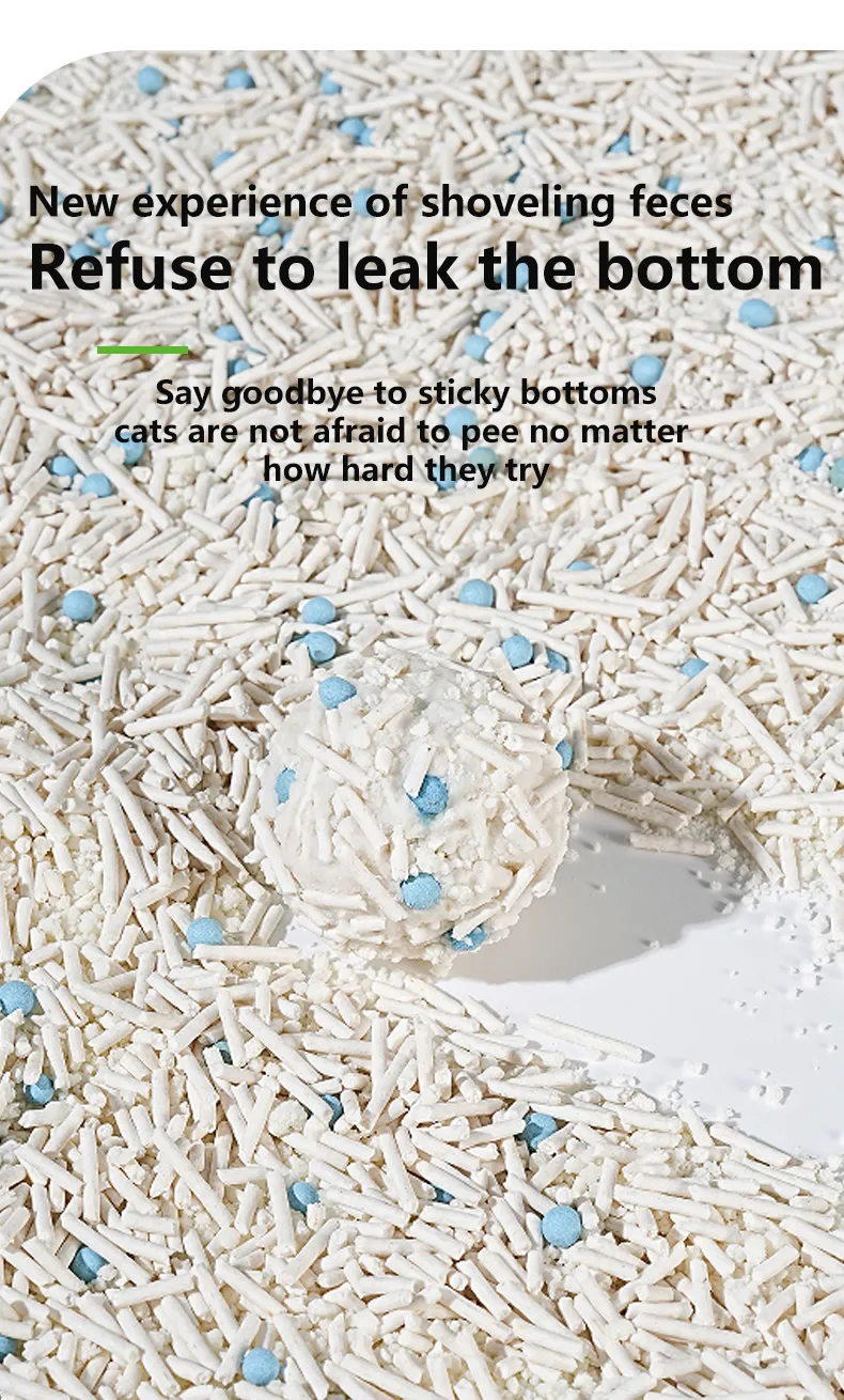 siji_r5_c1.jpg